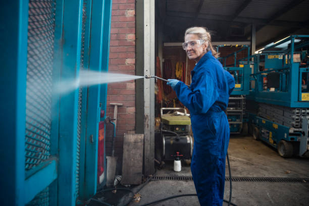 Best Pre-Holiday Cleaning  in Carrier Mls, IL