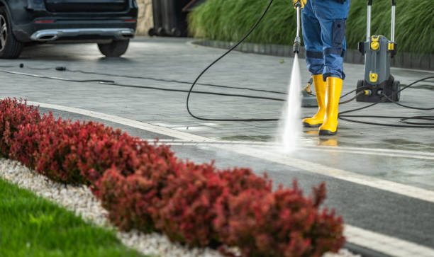 Professional Pressure Washing Services in Carrier Mills, IL